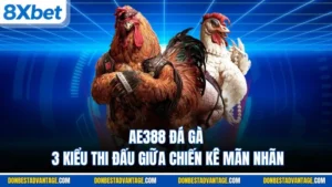 AE388 Đá Gà
