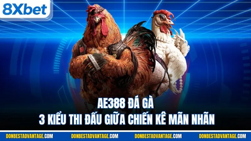 AE388 Đá Gà