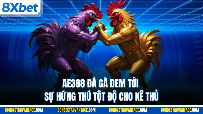 AE388 đá gà đem tới sự hứng thú tột độ cho kê thủ