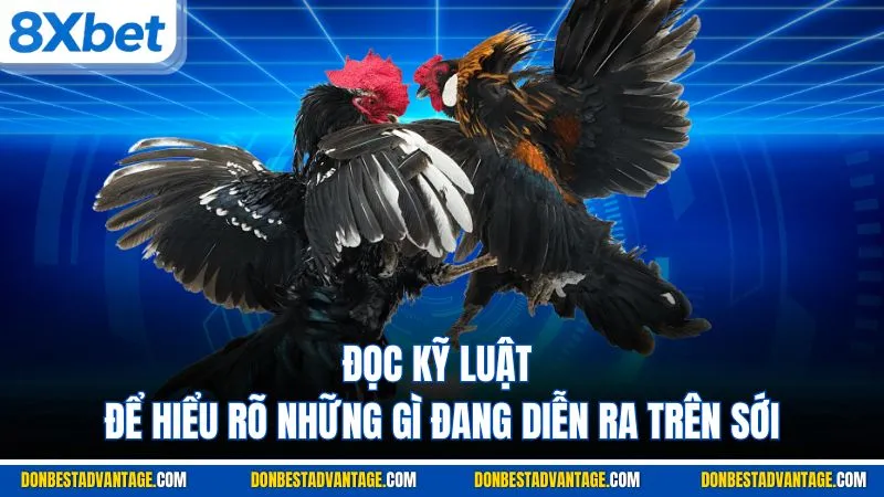 Đọc kỹ luật để hiểu rõ những gì đang diễn ra trên sới