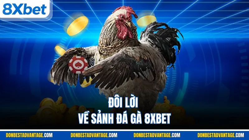 Đôi lời về sảnh Đá Gà 8XBET