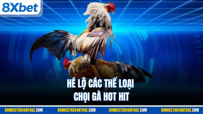 Hé lộ các thể loại chọi gà hot hit