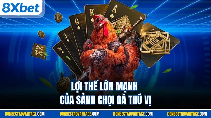 Lợi thế lớn mạnh của sảnh chọi gà thú vị