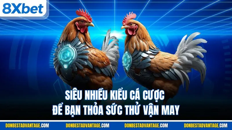 Siêu nhiều kiểu cá cược để bạn thỏa sức thử vận may